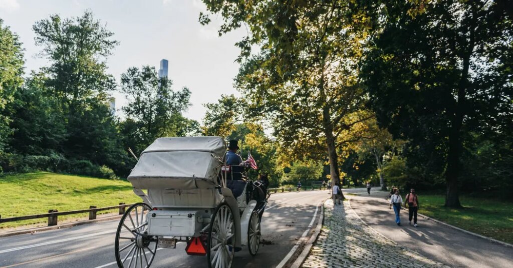 Drivers Are Livid and Activists Exult After Vote to Ban Horse Carriages