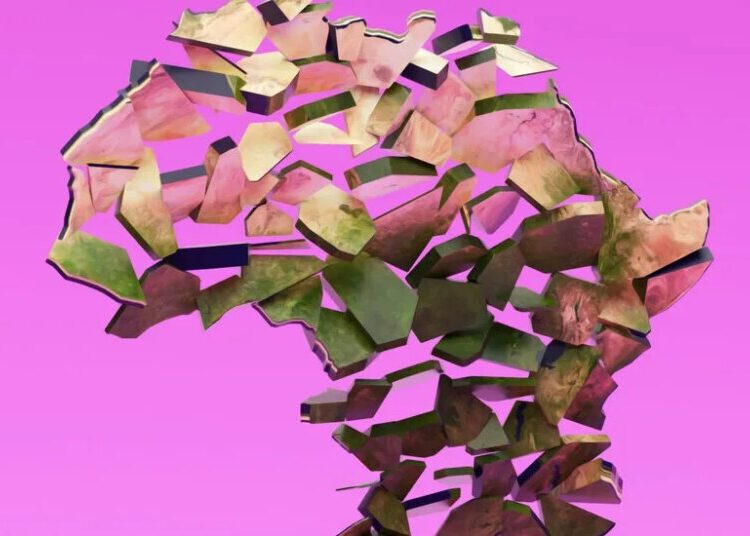 The Map of Africa Is Being Redrawn. It’s a Trap.