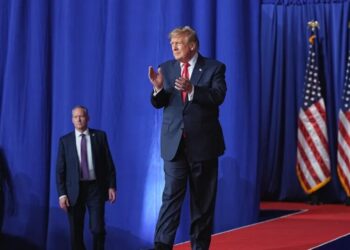 Audi to Build Factory in Georgia, Trump Says