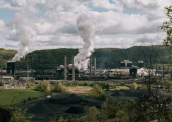 Free Passes for Polluters