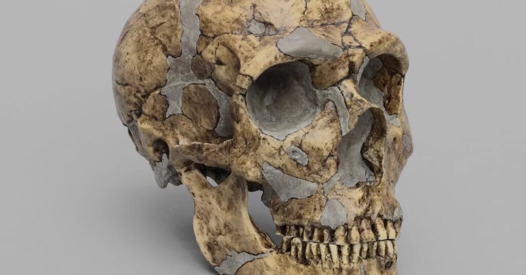 What Happened to 
the Neanderthals?
