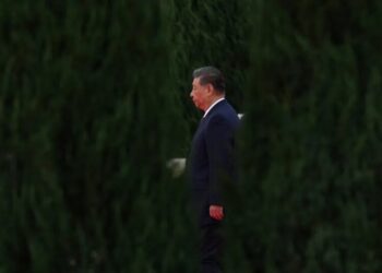 ‘Pull Out the Sick Trees’: Xi’s Constant Purges Pave Way for Next Term