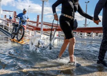 California’s High Tides Set Records This Week. They’re Going to Get Higher.