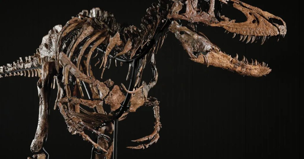 Skeleton of ‘Jodi,’ T. Rex’s Littler Cousin, Is Auctioned for $47.3 Million