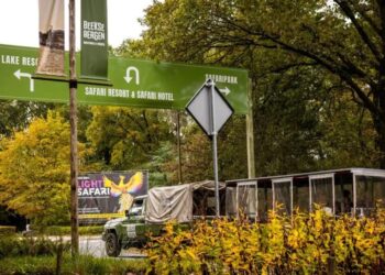 Dutch Zookeeper Dies After Rare Mauling by a Leopard