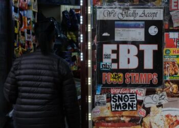 8 Accused of Stealing Millions in Food Stamp Benefits From New Yorkers