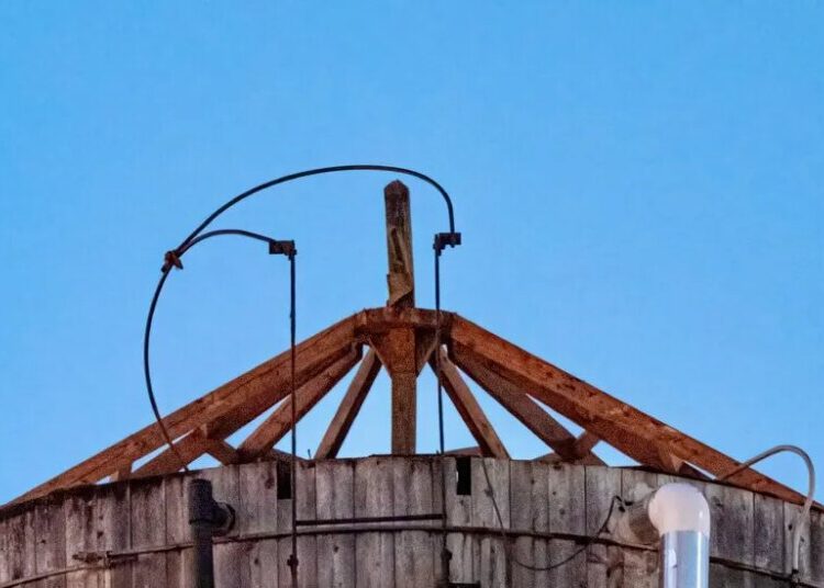Birders Fear for N.Y. Celebrity Owls Over Construction Near Their Nest