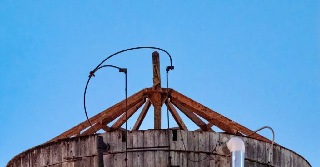 Birders Fear for N.Y. Celebrity Owls Over Construction Near Their Nest