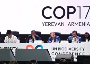 Global Talks on Nature End With Persistent Gaps on Action and Funding