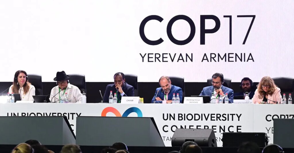 Global Talks on Nature End With Persistent Gaps on Action and Funding