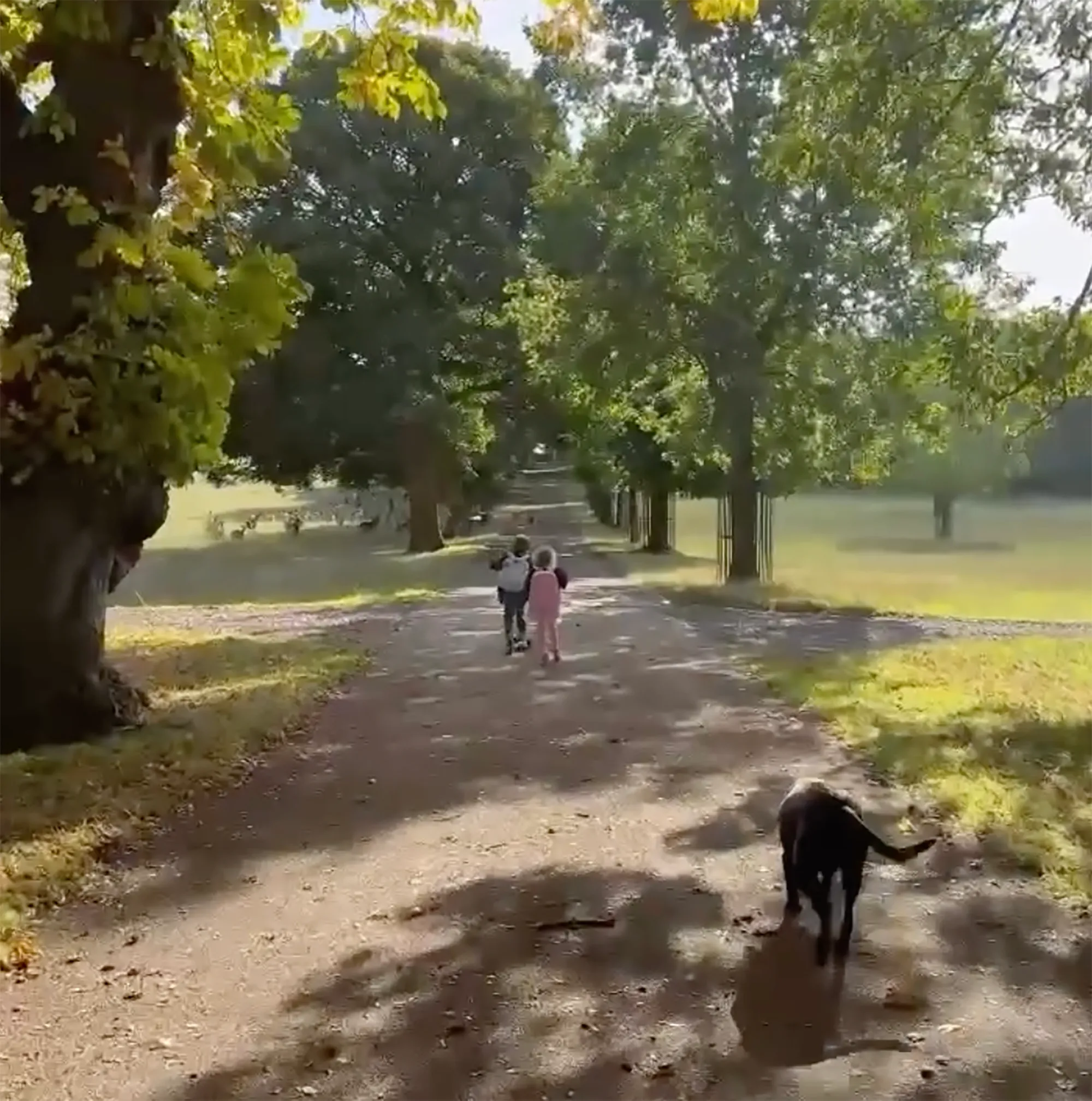 Prince Archie and Princess Lilibet.