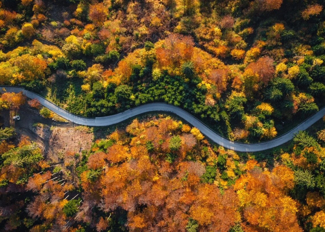 5 Fall ‘Vibes’ to Help You Make the Most of Autumn in 2026
