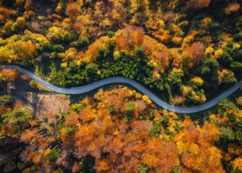 5 Fall ‘Vibes’ to Help You Make the Most of Autumn in 2026
