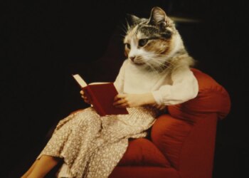 5 Horrifying Books for People Who Hate Horror (And Other Mentions)