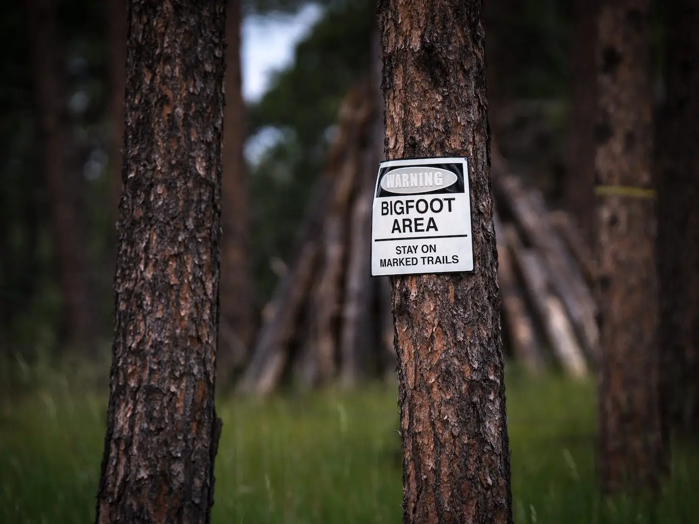 bigfoot