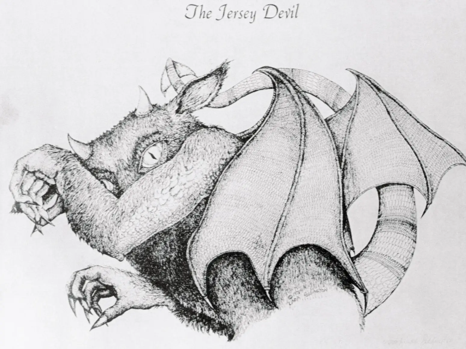 jersey devil