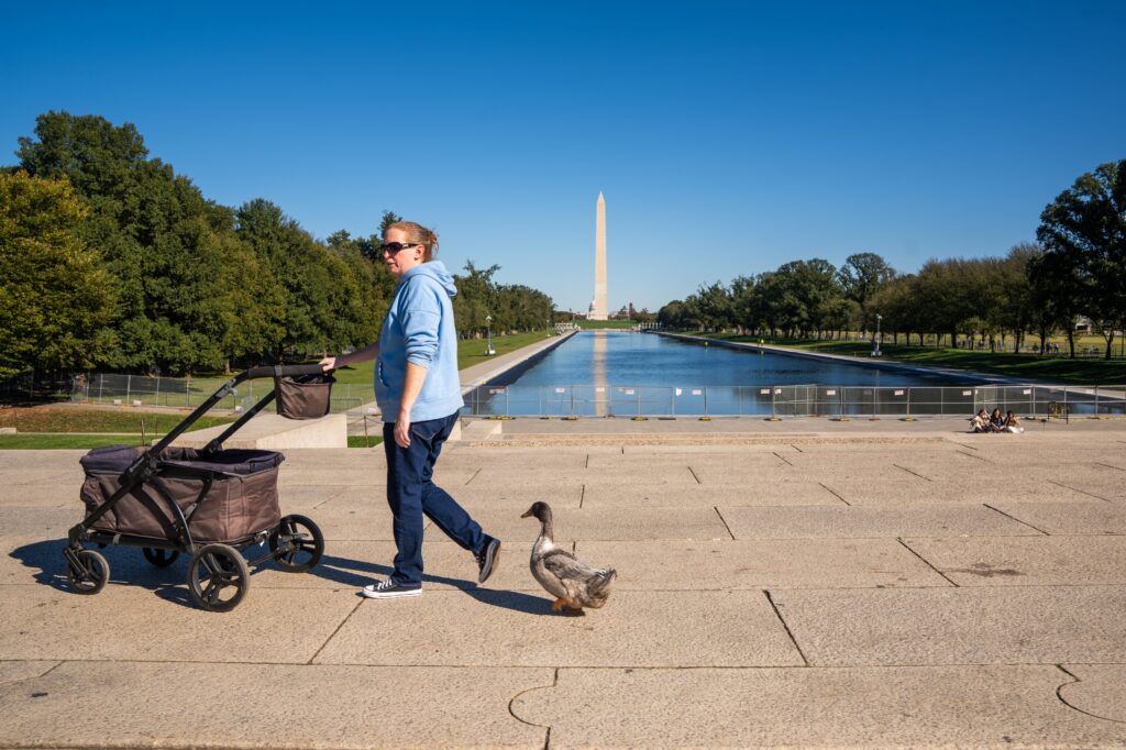 Meet Olivia, the duck quacking to keep foie gras off D.C. menus