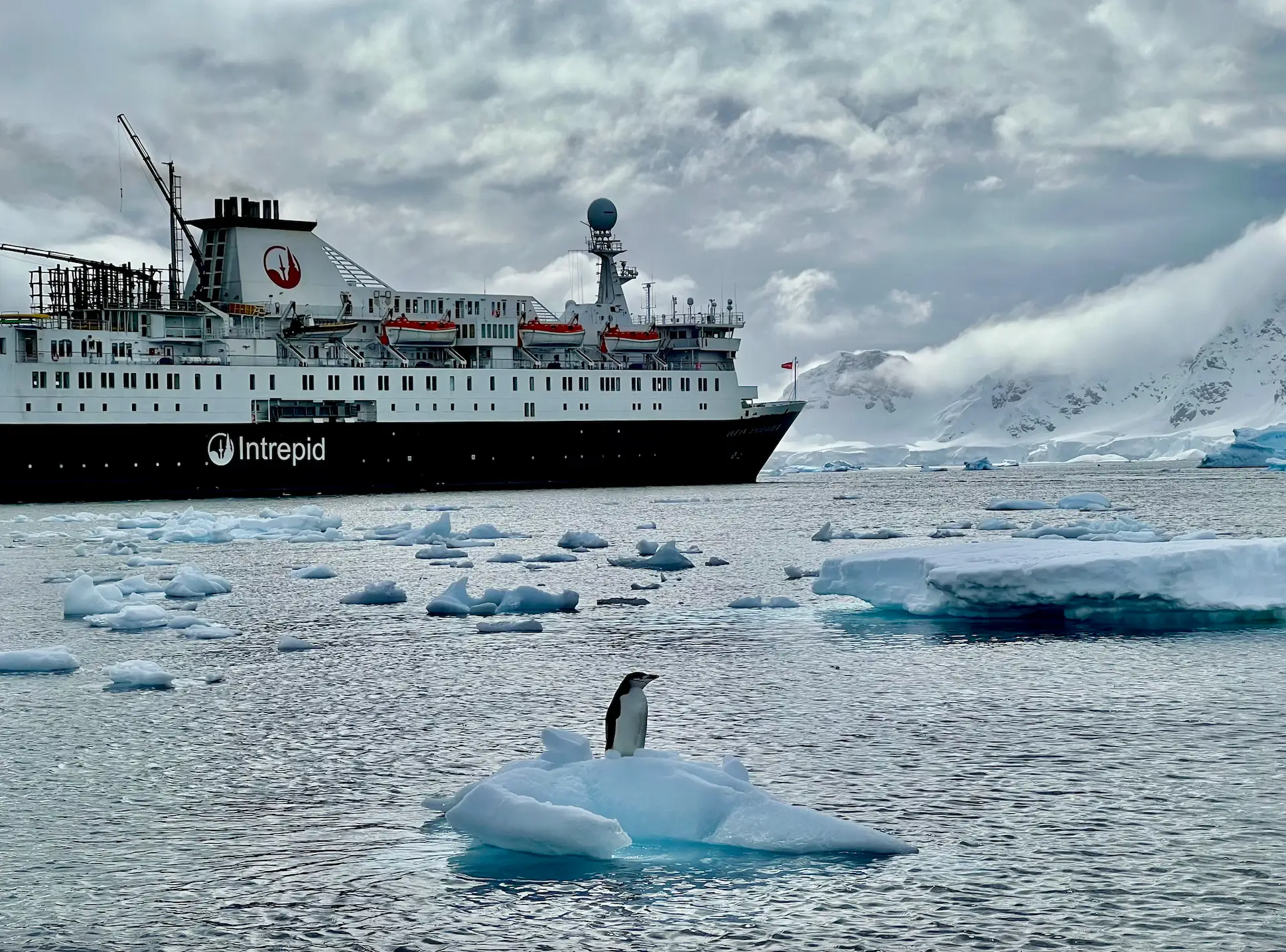 A chinstrap penguin with the Ocean Endeavour in Antarctica.