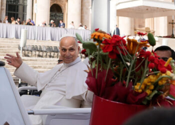 Medical tests show Pope Leo requires no further treatment for lung cancer