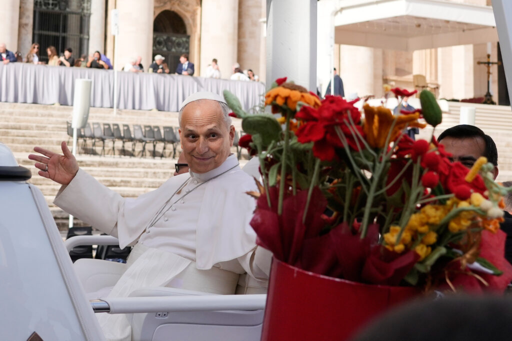 Medical tests show Pope Leo requires no further treatment for lung cancer