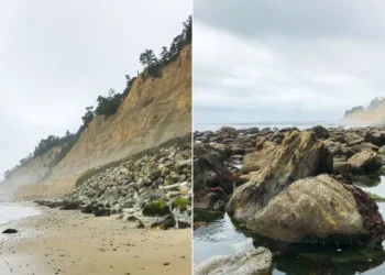 A National Geographic photographer shared 4 tips for taking better pictures with a phone