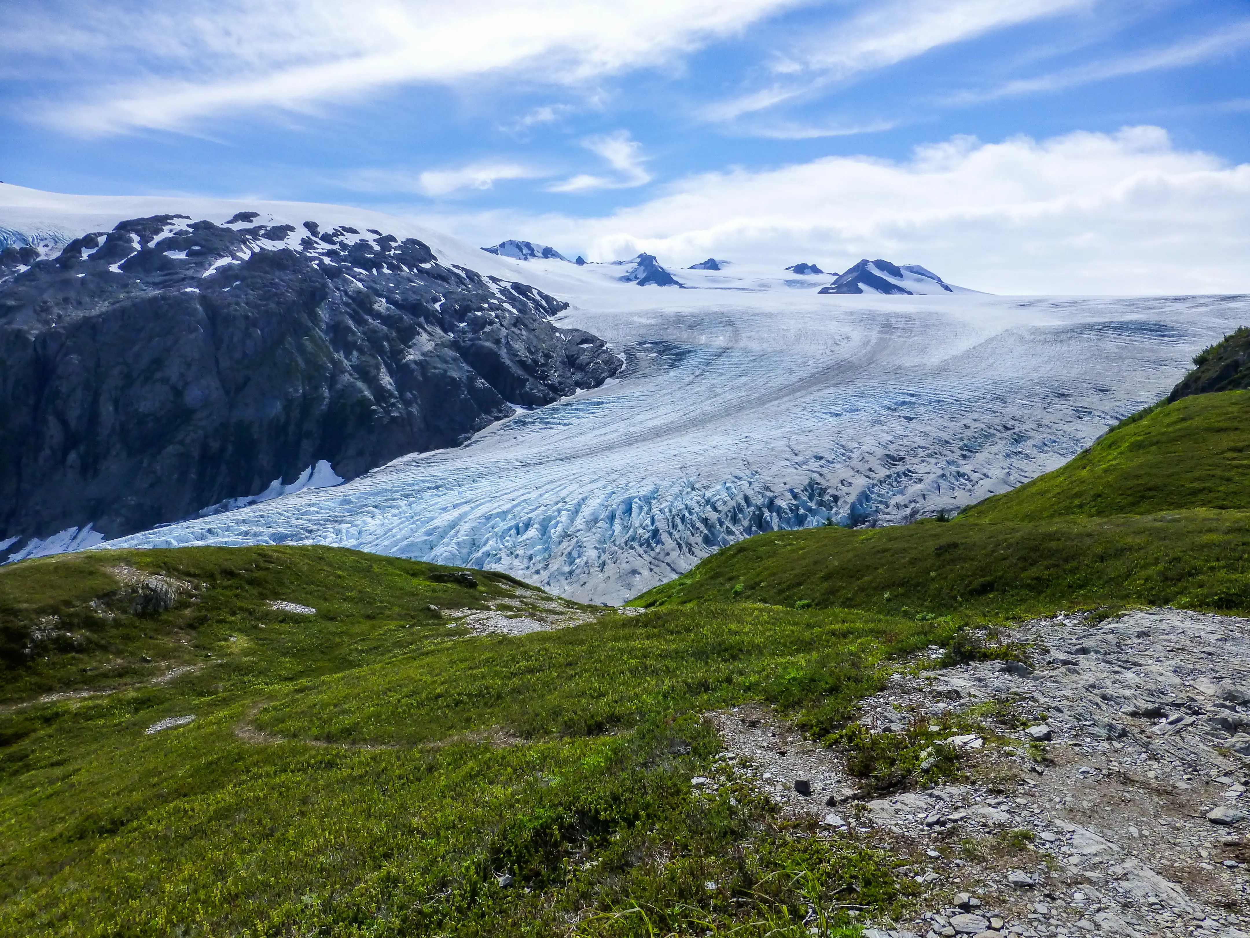 The view of Exit Glacier next to a patch of grass.