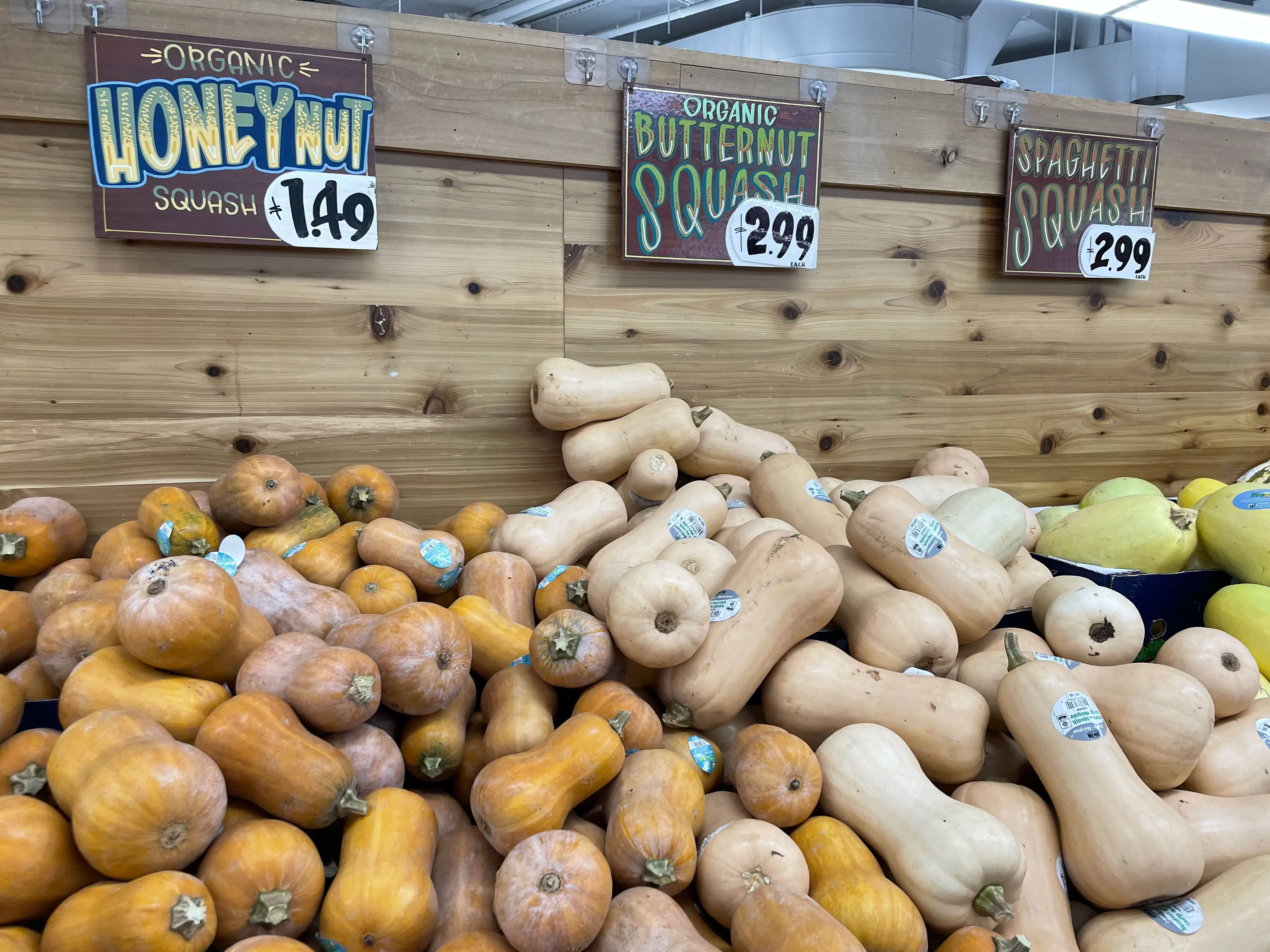 A display of honeynut squash, butternut squash, and spaghetti squash.
