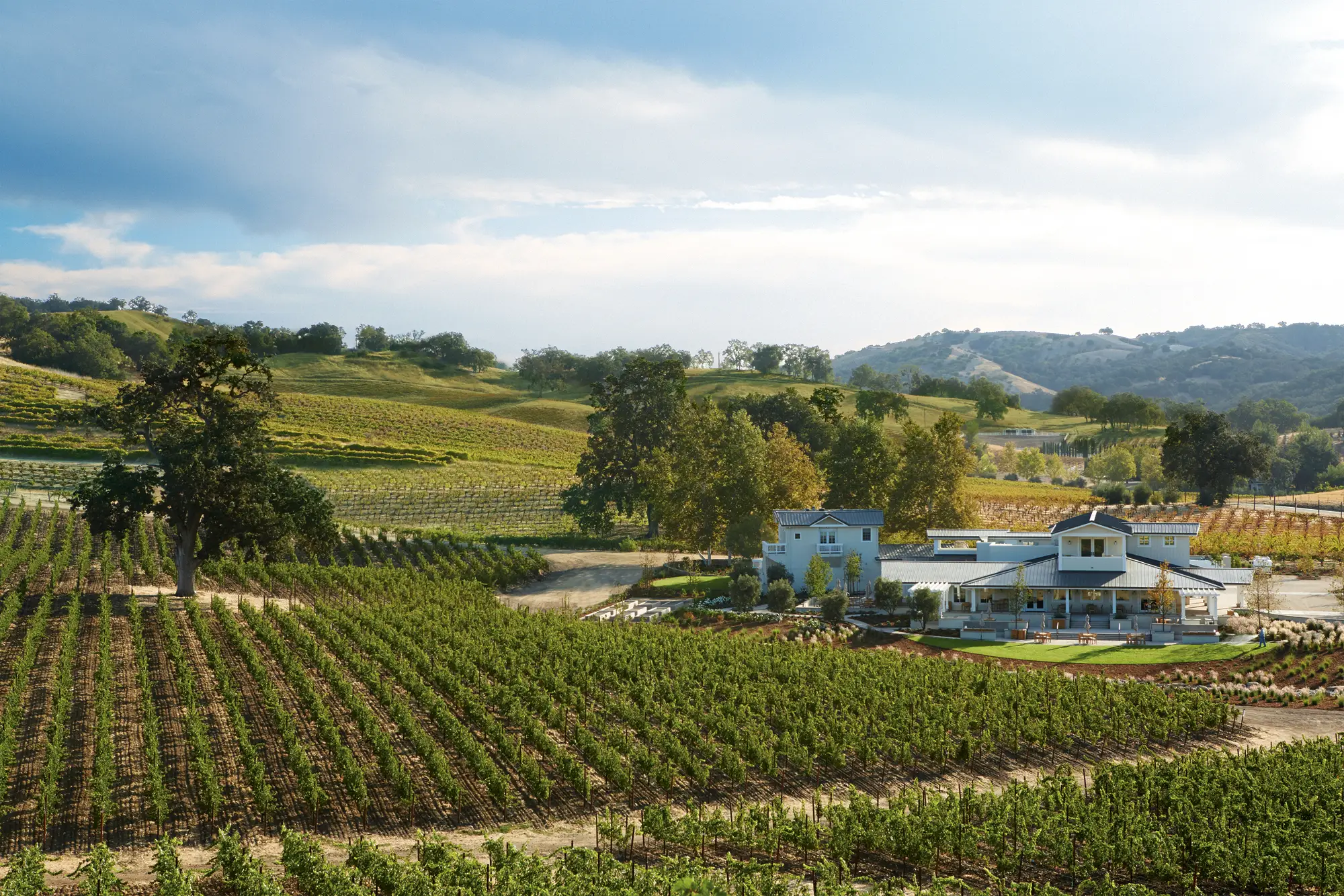 JUSTIN Vineyard in Paso Robles