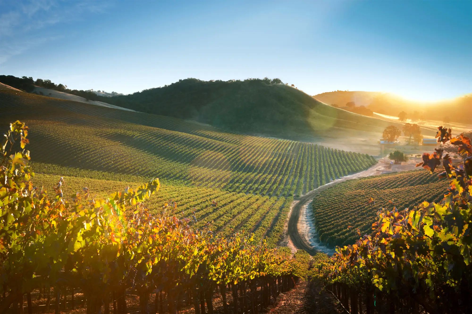 JUSTIN Winery in Paso Robles