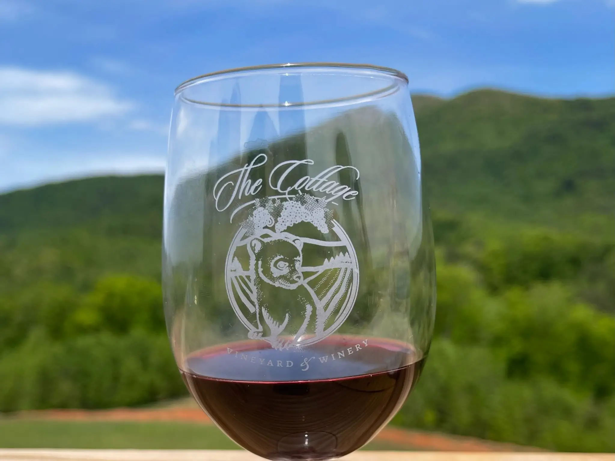 a wine glass from The Cottage Vineyard and Winery in front of a grassy landscape in Helen, Georgia.