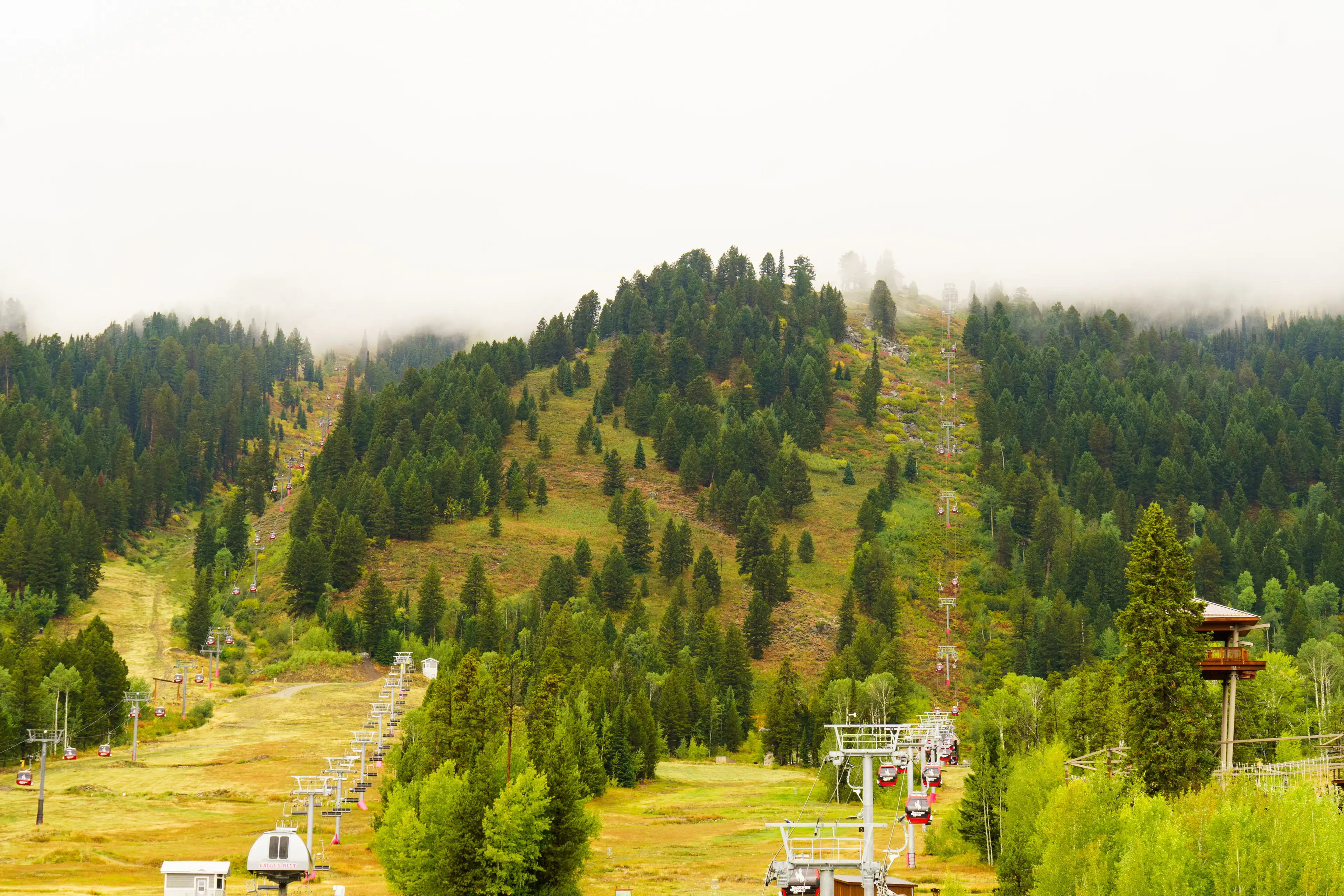 Ski lifts go up a green, tree-covered mountain with clouds fogging the top