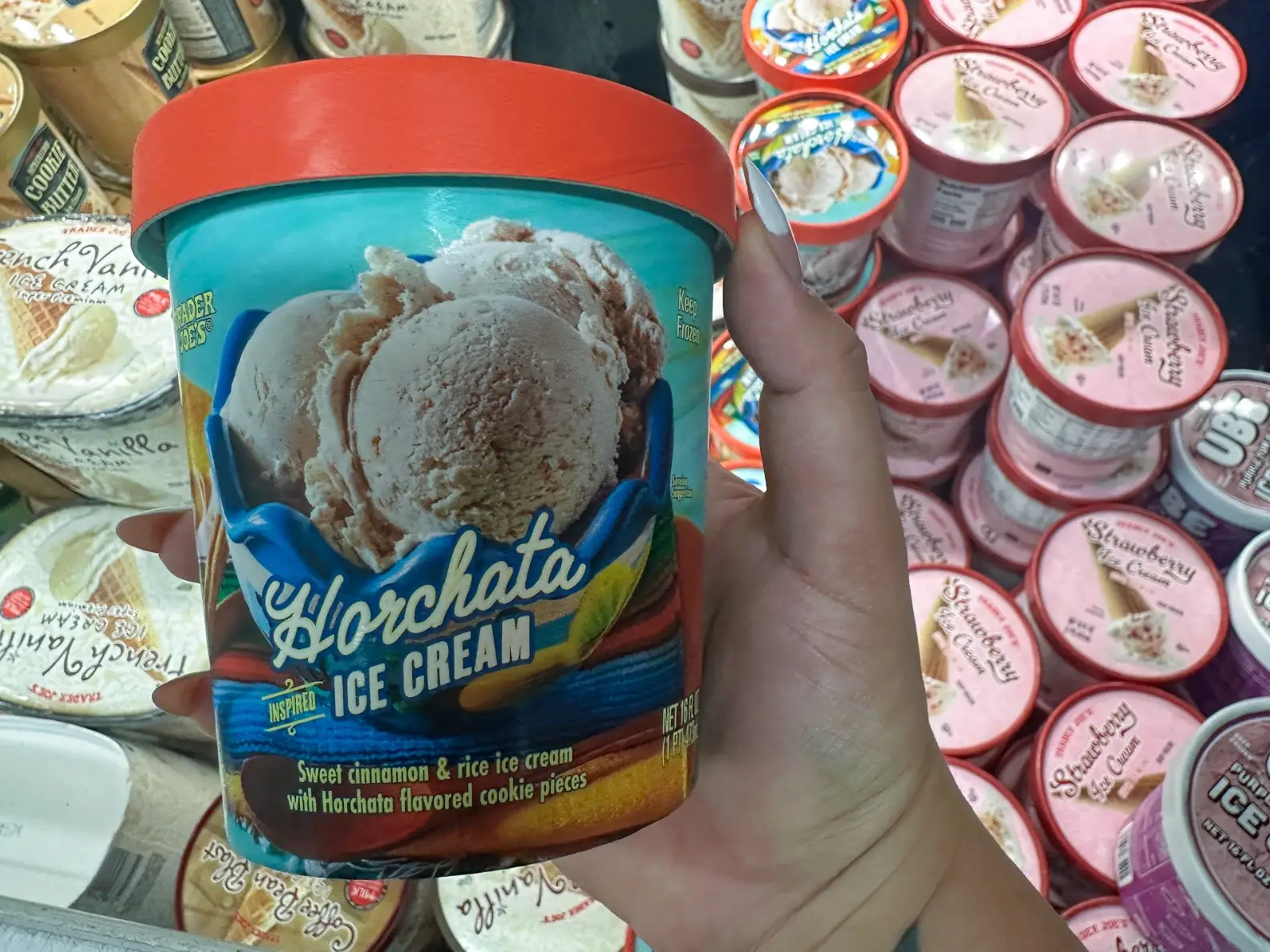 Horchata ice cream from Trader Joe's.