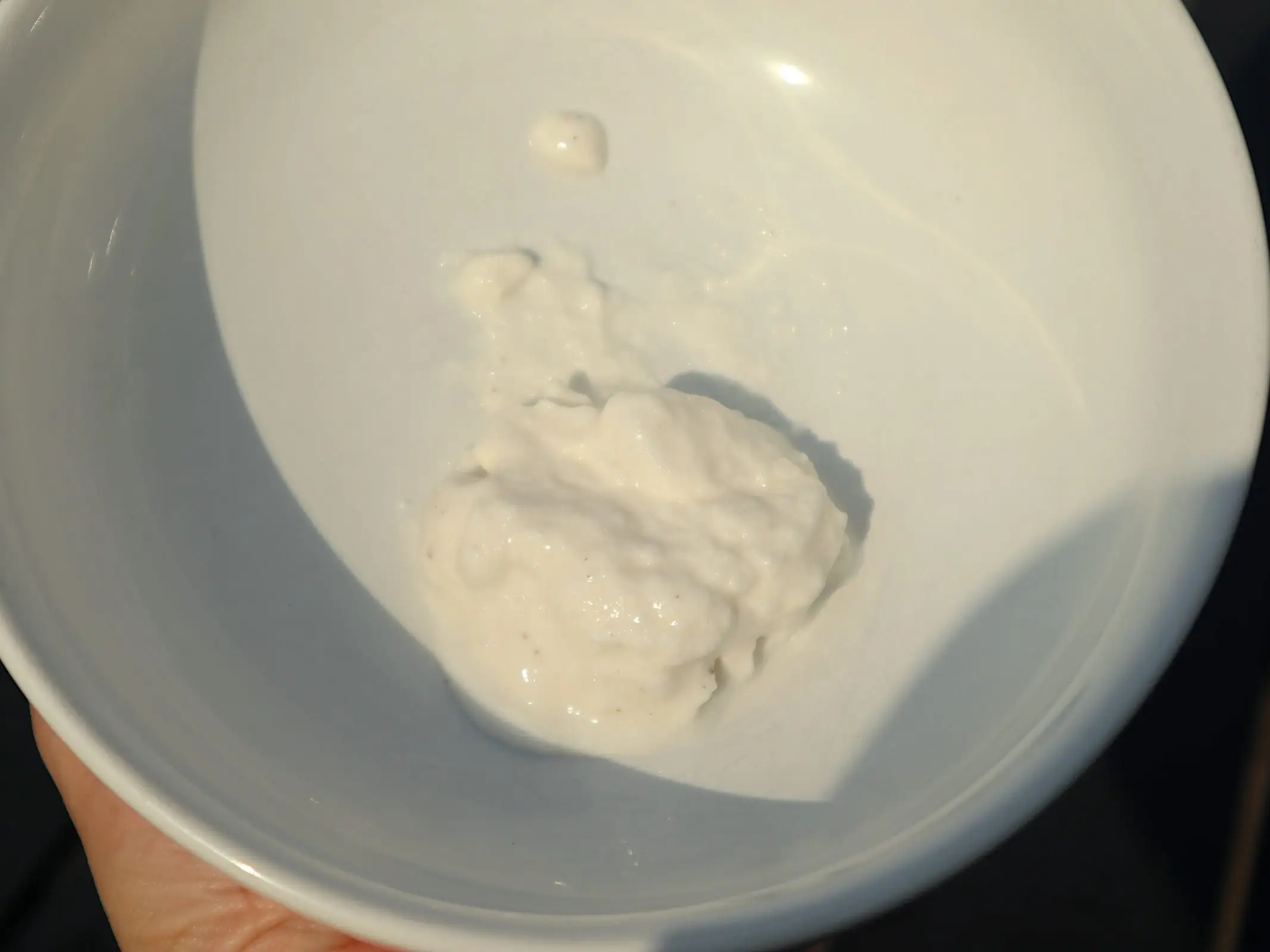 too good blended yogurt