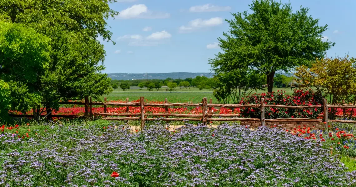 As a Texas local, I skip the crowds in Austin and head west to a charming nearby city with amazing wineries