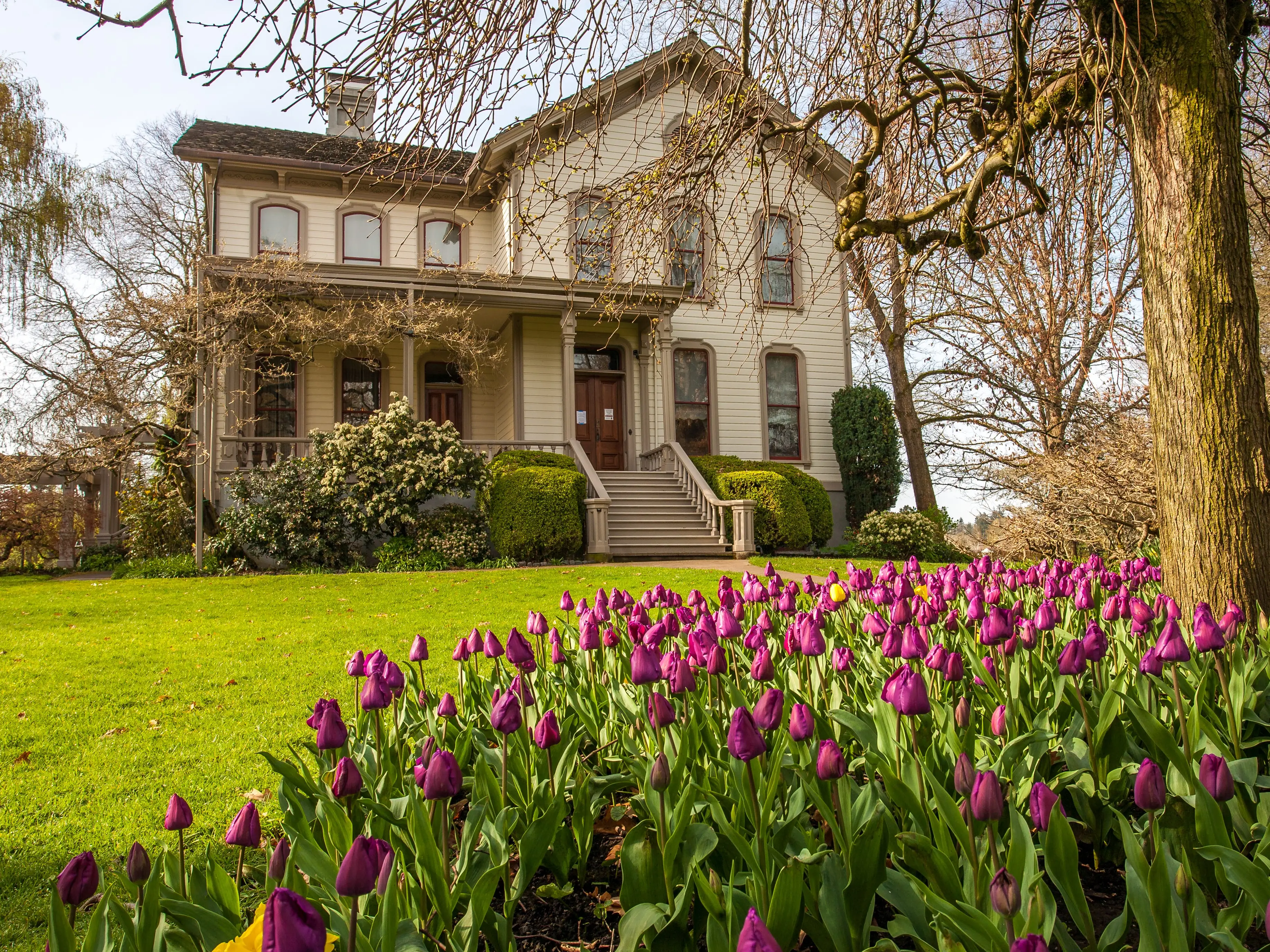 Bush's Pasture Park salem oregon