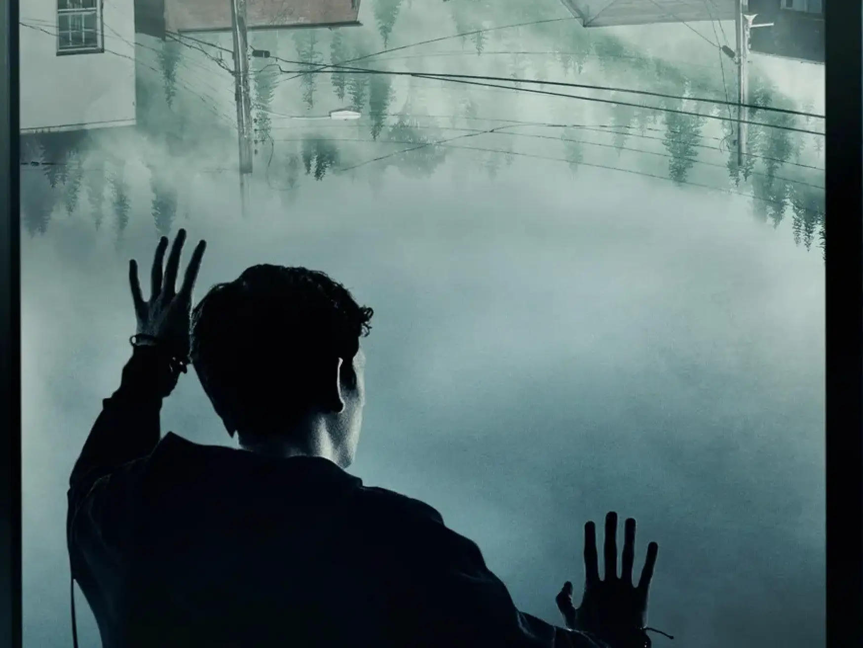 the mist 2017