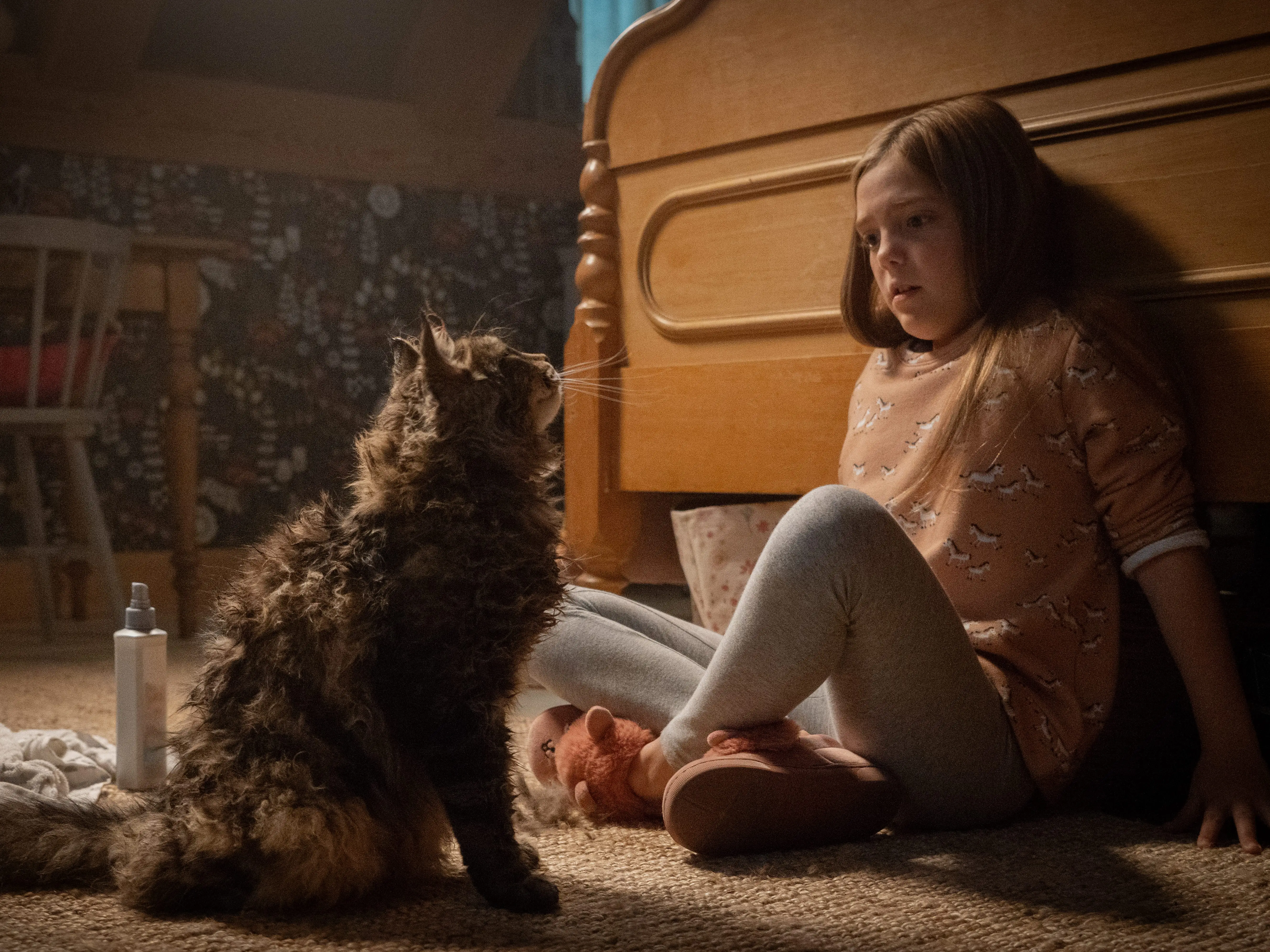 pet sematary