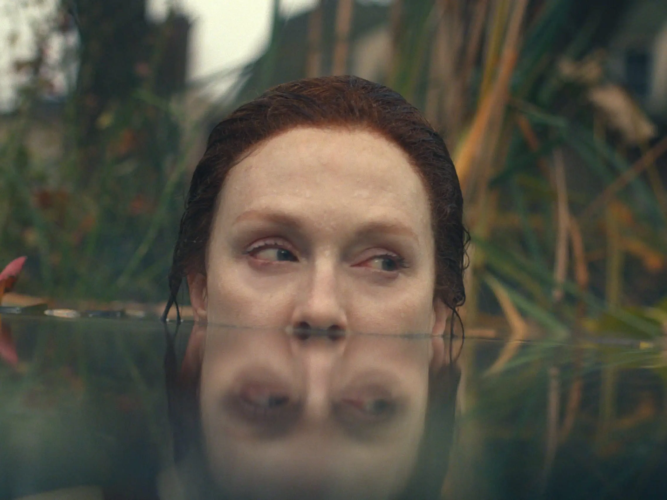 julianne moore in lisey's story