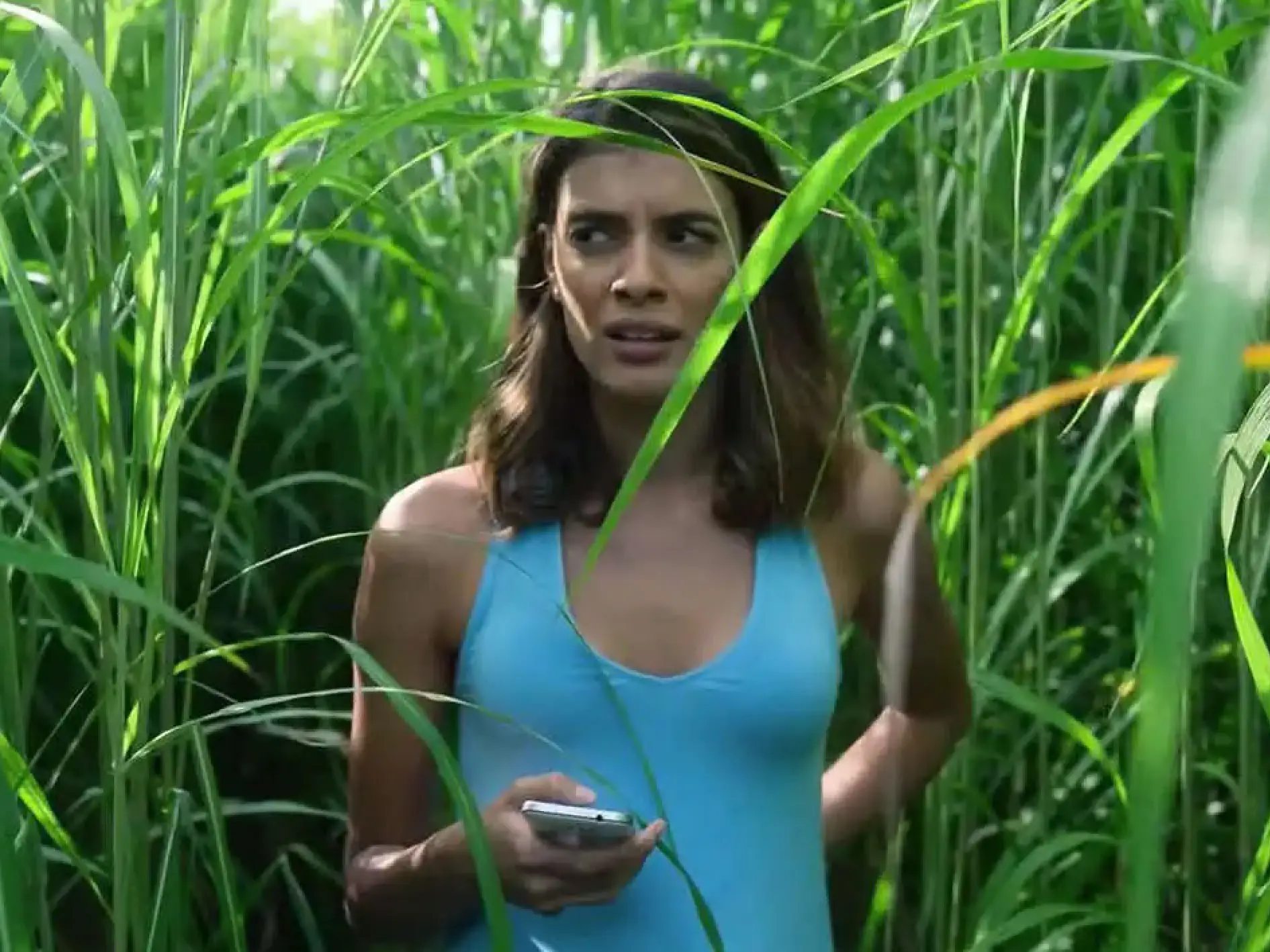 in the tall grass