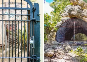 I explored the ruins of an abandoned zoo on the coast of Florida. It was overrun by nature, but eerie cages remained.