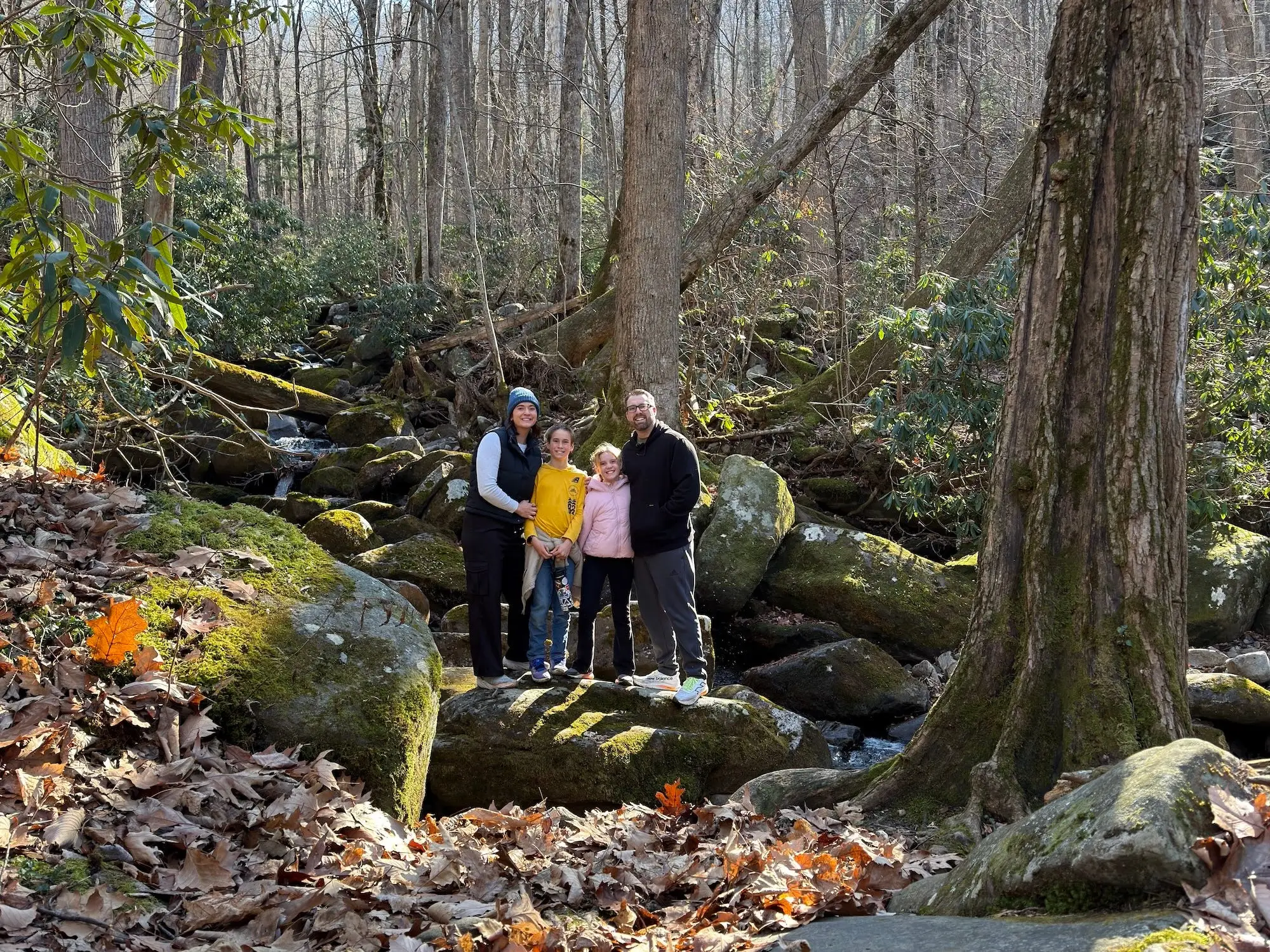 Four people stand on mossy boulders beside a small creek in a leaf-covered forest.