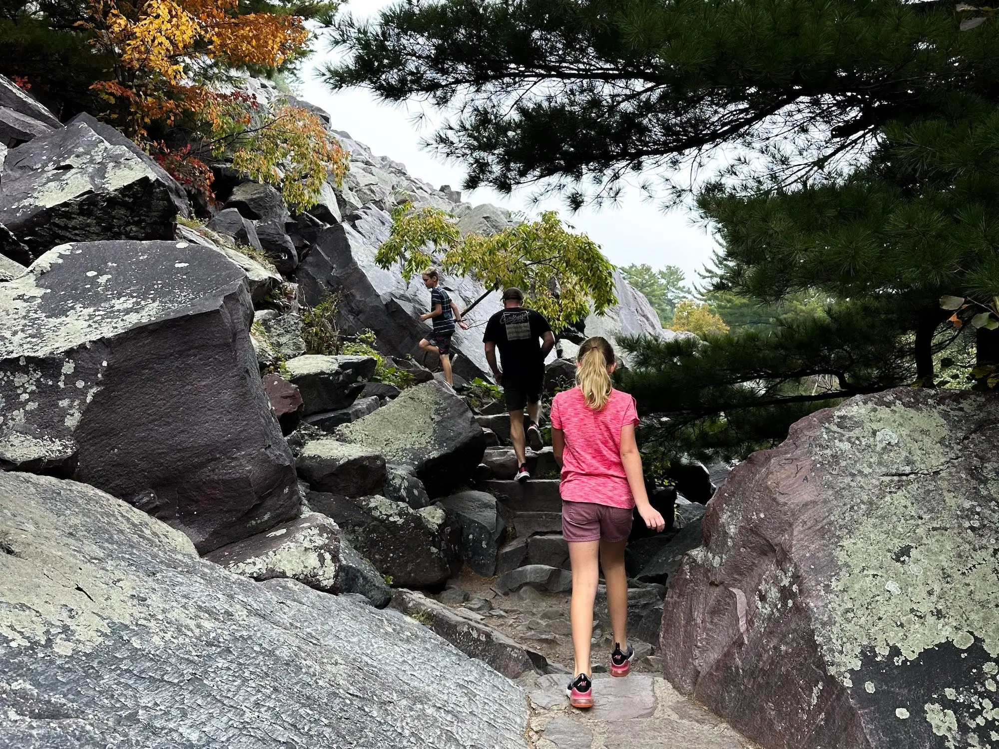 Hikers climb a rocky stone trail beneath pine trees and autumn foliage in a rugged outdoor landscape.