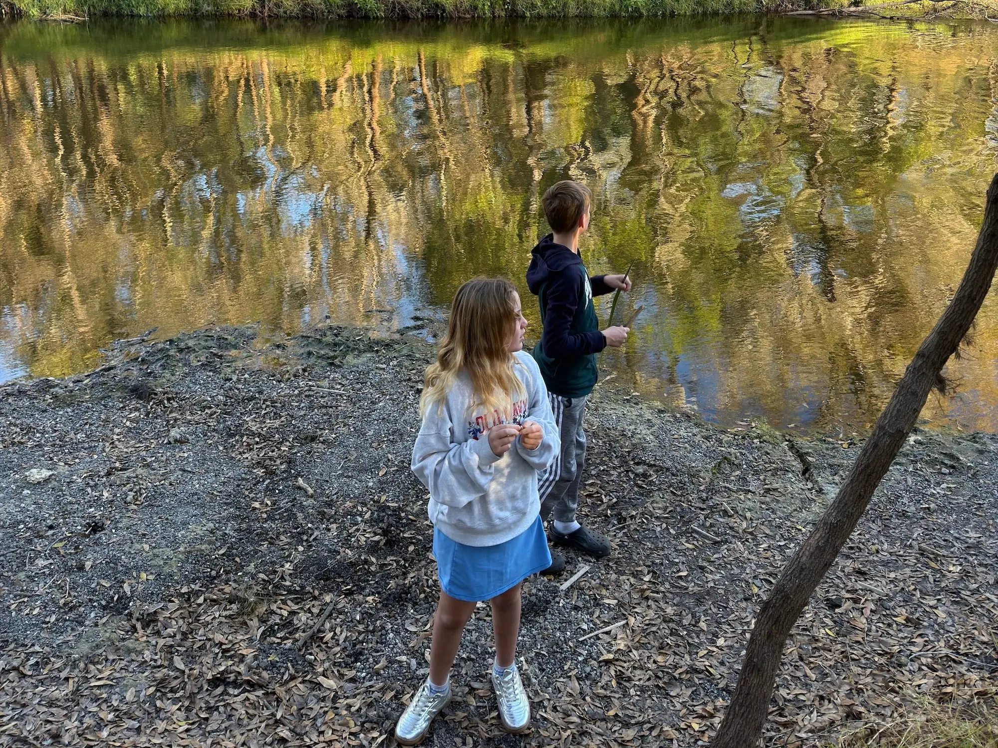 Two kids stand by a reflective creek in a wooded area under overhanging branches.