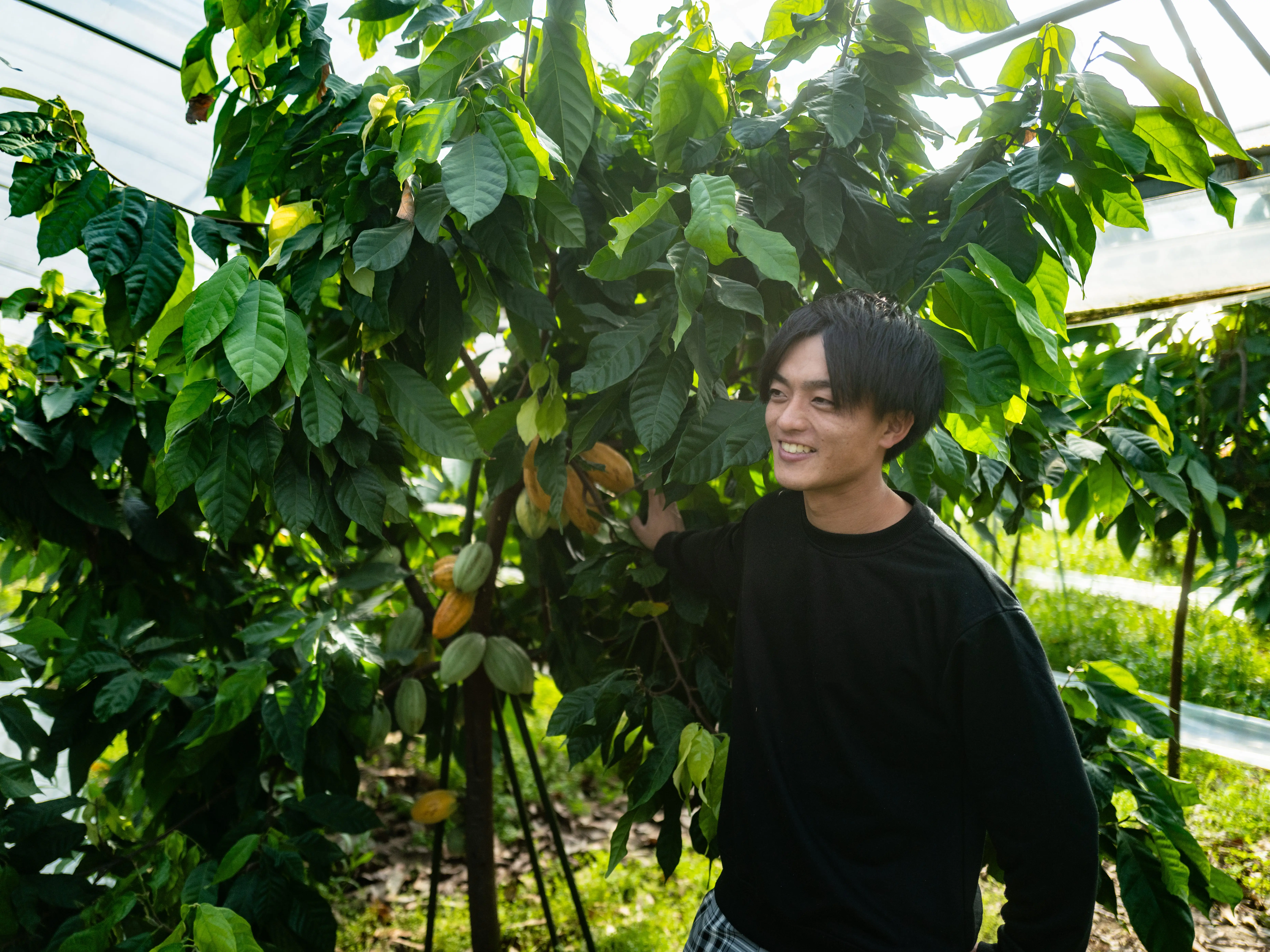 A man posing with his crops on a farm.
