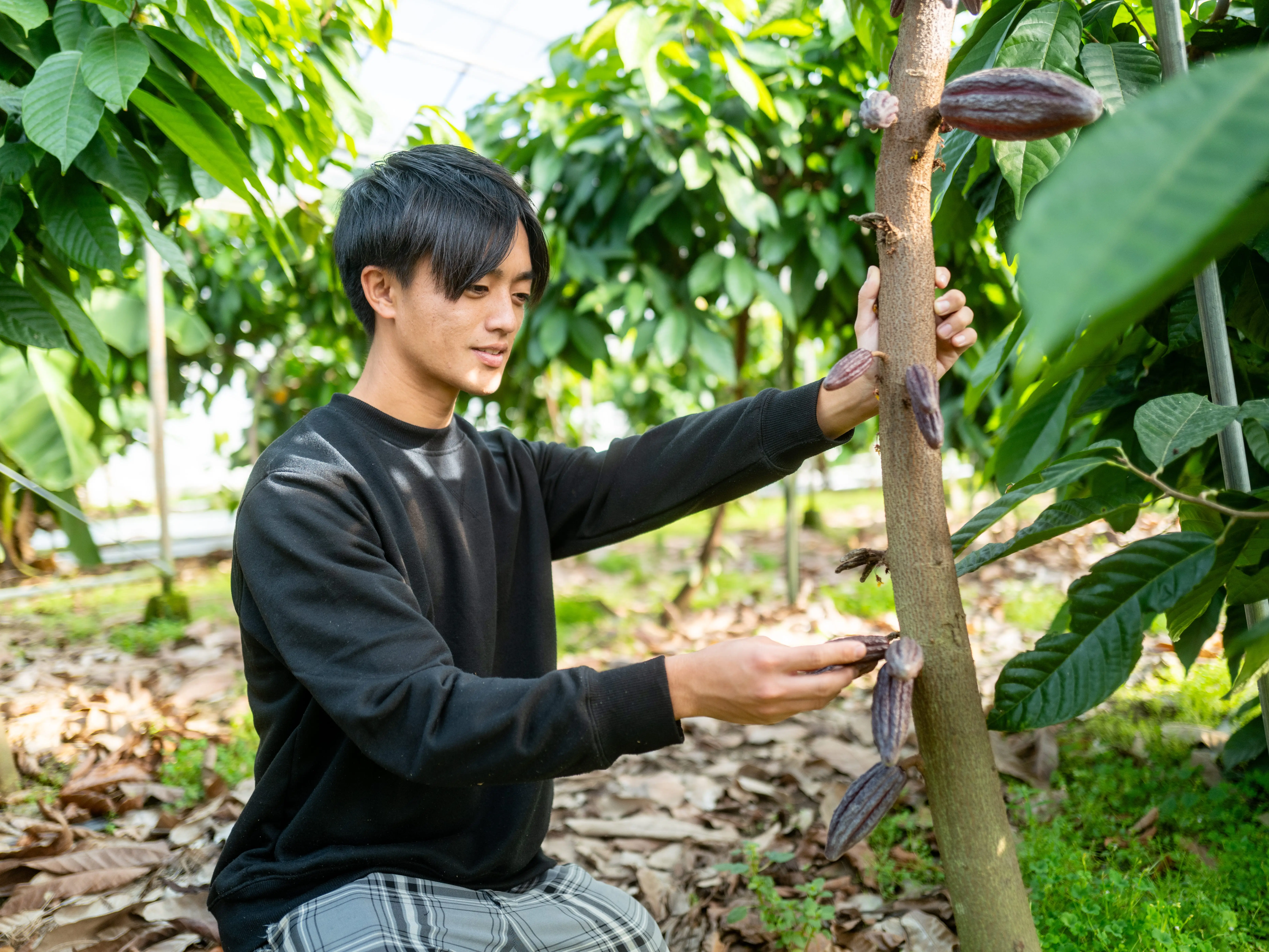 A man posing with his crops on his farm.
