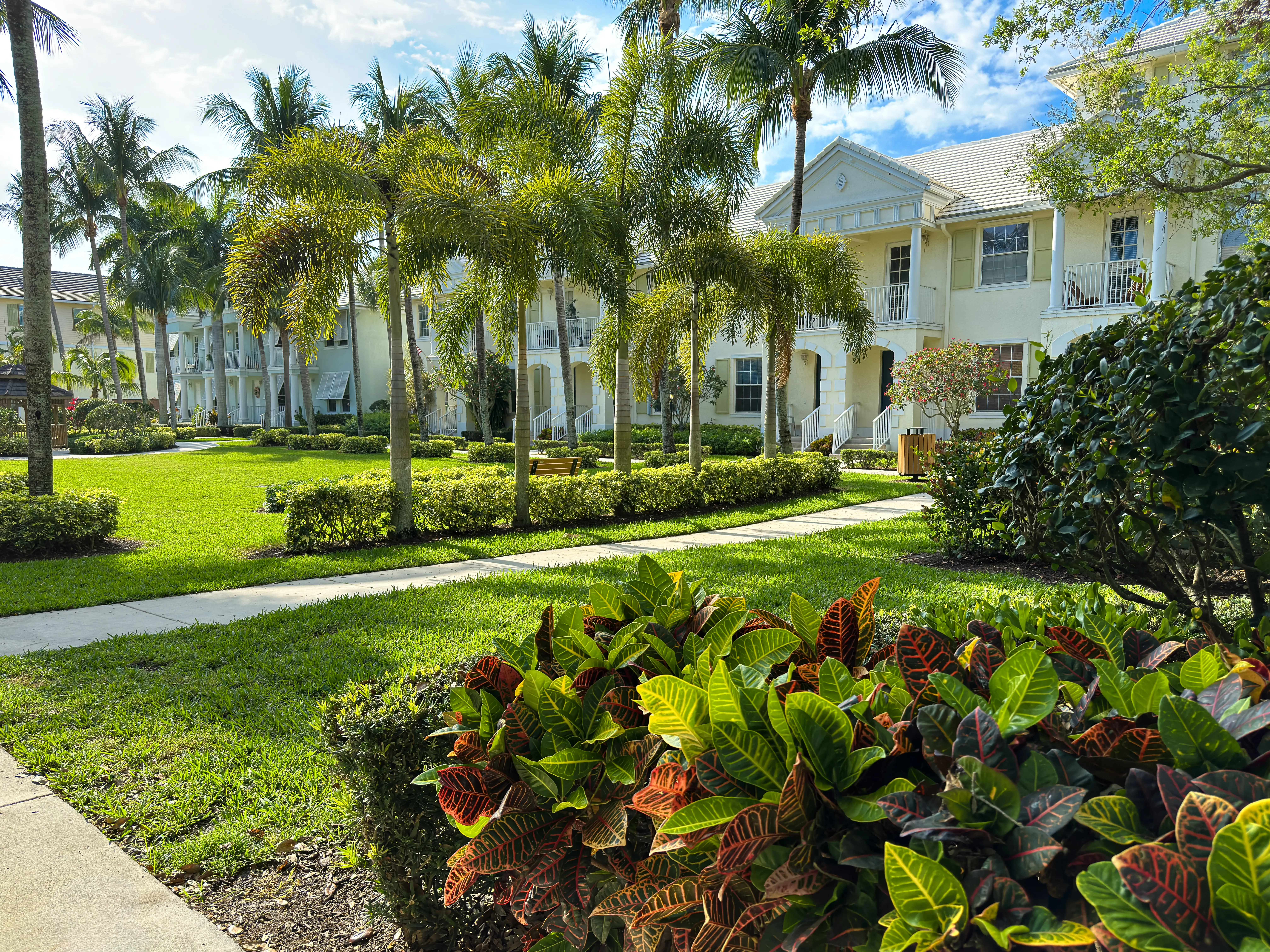 Condominiums among the palm trees in West Palm Beach, Florida.