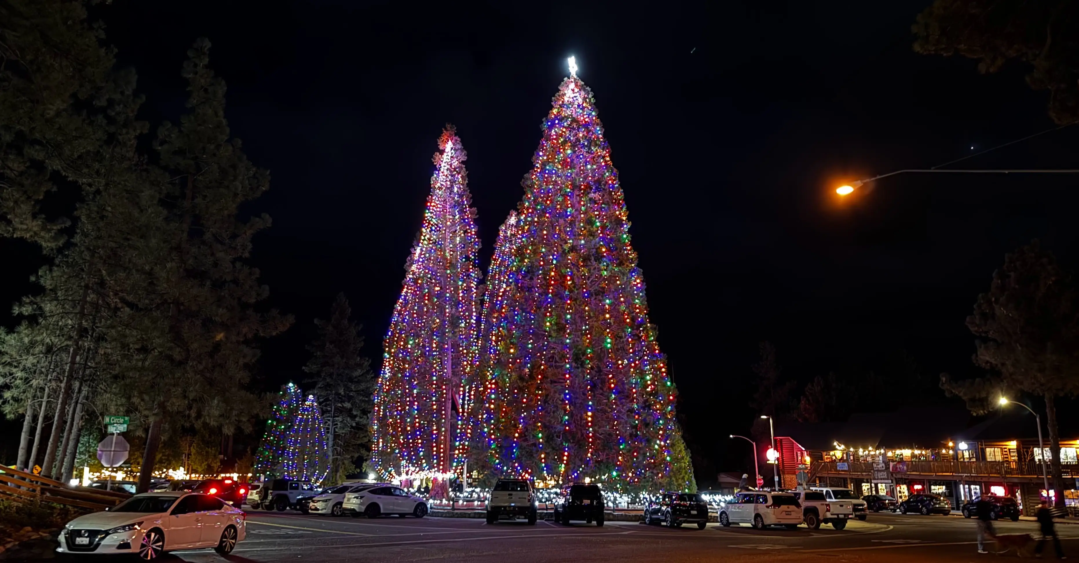 Large lights in shape of trees