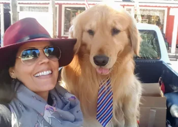 My favorite place in California is a tiny mountain town that’s worth visiting in every season — also, its mayor is a dog