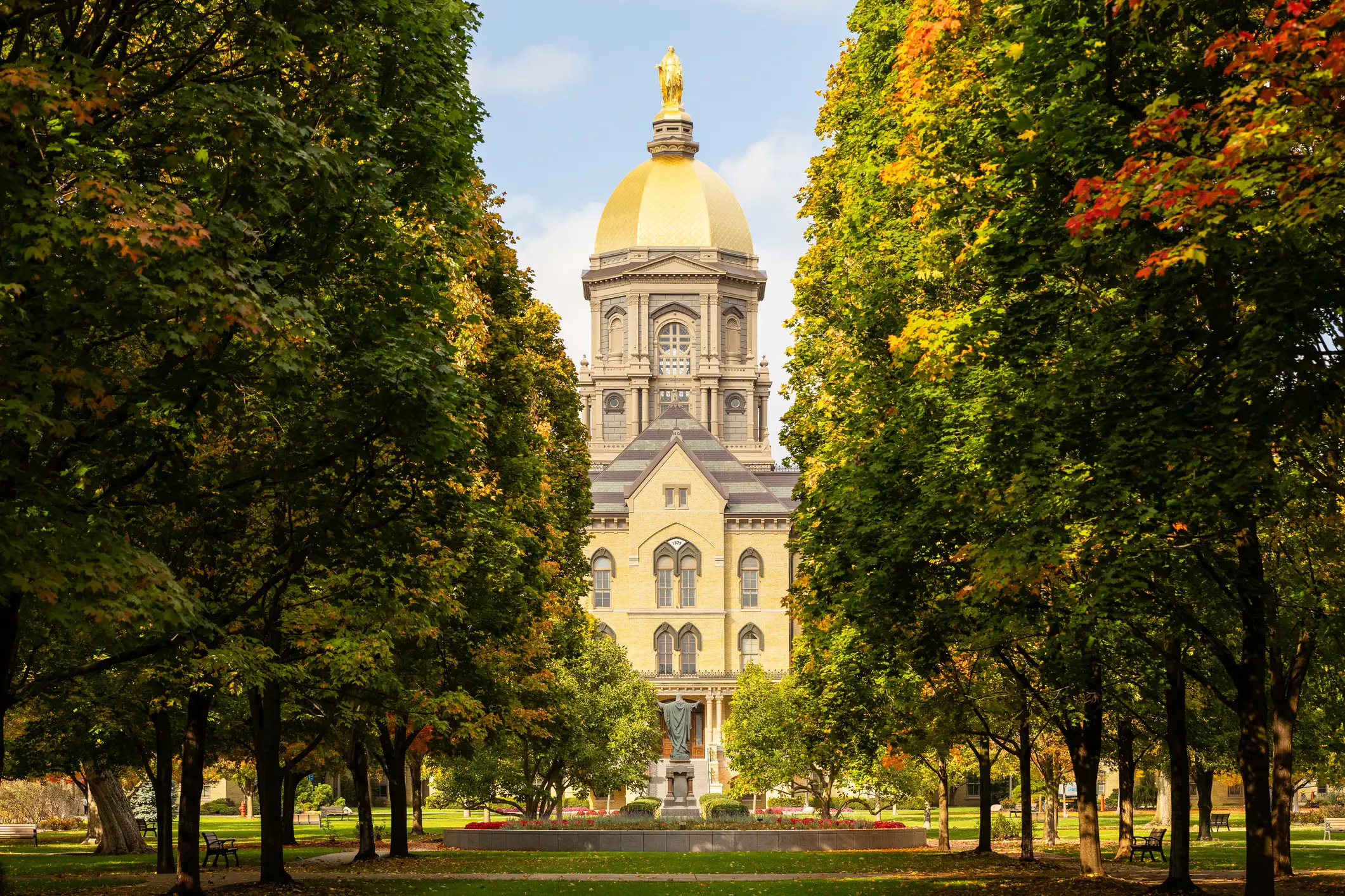 The University of Notre Dame Main Building’s Golden Dome rises beyond a tree-lined campus walkway in autumn.