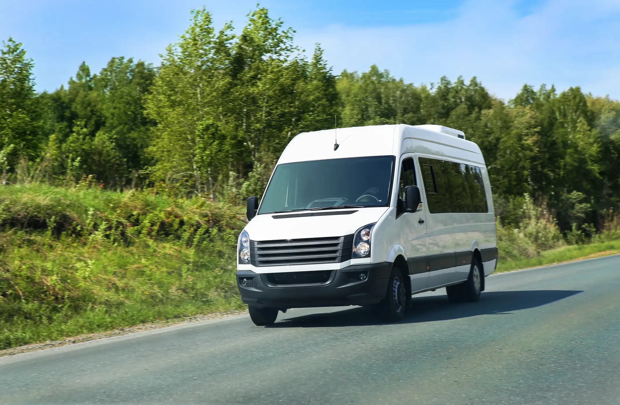 White van with trees next to it on highway